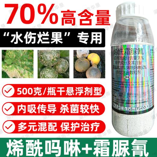 荣邦70%烯酰霜脲氰农用杀菌剂水伤黄瓜霜霉病专用杀菌剂正品批发 商品图3