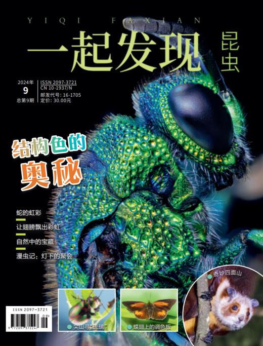 2024年《一起发现》过刊10本一次发出 商品图8