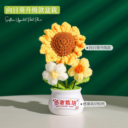 【教师节感谢栽培礼！向日葵小盆栽】教师节礼物向日葵花束小礼品送老师迷你永生花摆件创意桌面小盆栽，不止是摆件，更是艺术品。ry 商品图7