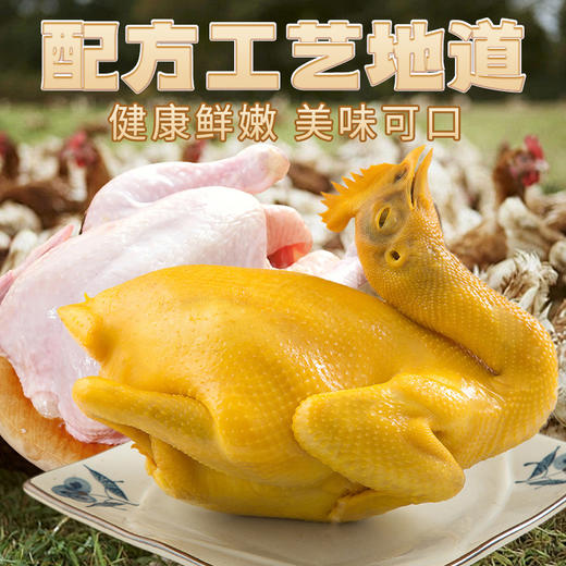 【散养盐焗鸡，健康鲜嫩，美味可口】正宗广式盐焗鸡 即食盐焗鸡 整只手撕鸡 卤味熟食白切鸡 真空装熟食-QQ 商品图1