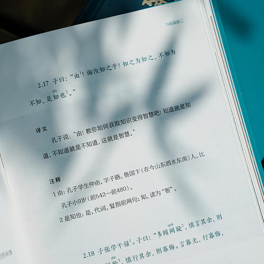 【赠帆布袋】论语(岳麓书社专业定本·彩色插图版) 上下2册 中小学必读书目 一套书说透人生智慧 商品图9