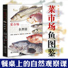 《菜市场鱼图鉴》一读就懂，餐桌上的自然观察课，网罗菜市场上常见的鱼鲜种类近200种（6岁-成人） 商品缩略图0