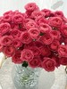 多头玫瑰花胭脂公主10支 商品缩略图2