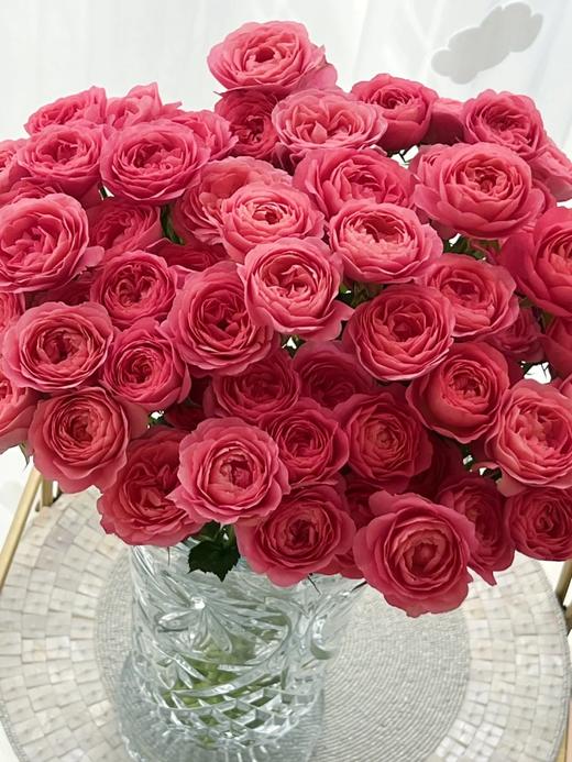 多头玫瑰花胭脂公主10支 商品图2