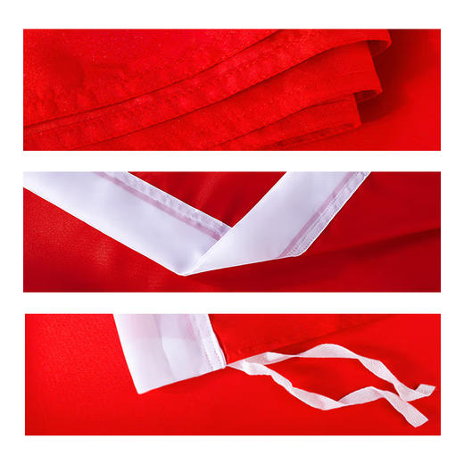 党旗 商品图4
