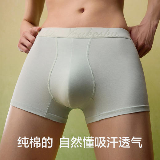 有棵树纯棉男士内裤桑蚕丝底裆3条装-AU1054 商品图4