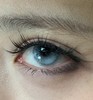 isoraLook半年抛美瞳 无响应小猫 14.5mm 商品缩略图0