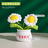 【教师节感谢栽培礼！向日葵小盆栽】教师节礼物向日葵花束小礼品送老师迷你永生花摆件创意桌面小盆栽，不止是摆件，更是艺术品。ry 商品缩略图10