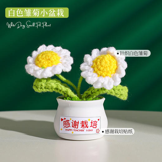 【教师节感谢栽培礼！向日葵小盆栽】教师节礼物向日葵花束小礼品送老师迷你永生花摆件创意桌面小盆栽，不止是摆件，更是艺术品。ry 商品图10