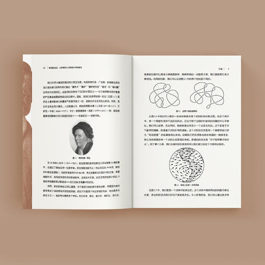 《欧拉的宝石：从多面体公式到拓扑学的诞生》 商品图10