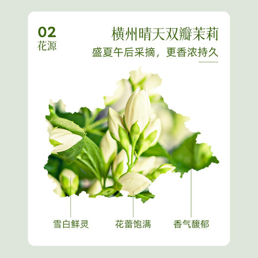 澜沧古茶2024年茶妈妈特级茉莉花茶单罐装100g 商品图2