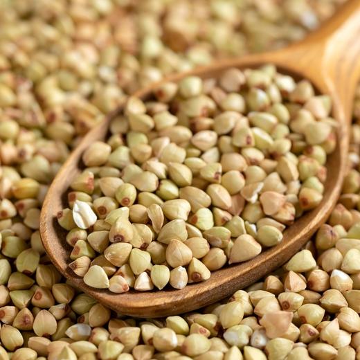 粮田拾趣荞麦 商品图2