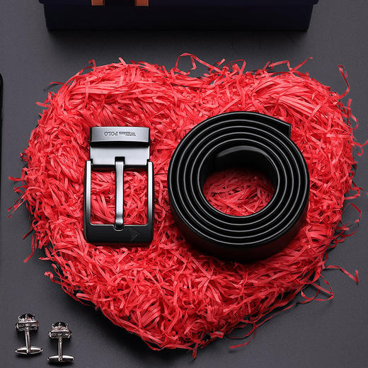 英皇保罗皮带 男士真皮针扣 商务百搭腰带 简约合金皮带 高级感送男友生日礼物送长辈 商品图3