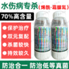 荣邦70%烯酰霜脲氰农用杀菌剂水伤黄瓜霜霉病专用杀菌剂正品批发 商品缩略图0