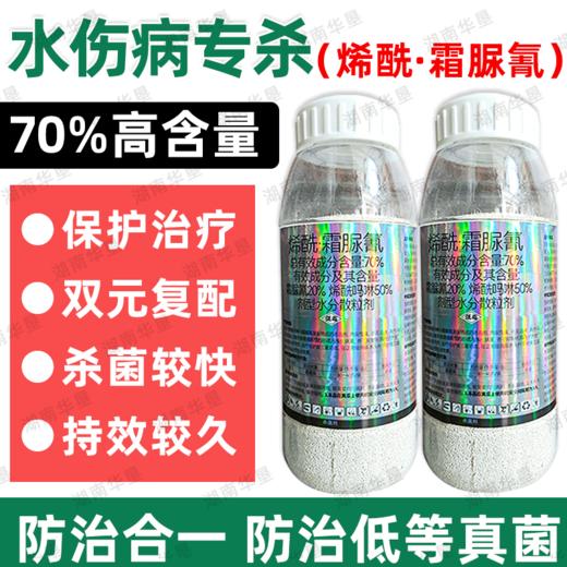 荣邦70%烯酰霜脲氰农用杀菌剂水伤黄瓜霜霉病专用杀菌剂正品批发 商品图0