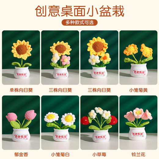 【教师节感谢栽培礼！向日葵小盆栽】教师节礼物向日葵花束小礼品送老师迷你永生花摆件创意桌面小盆栽，不止是摆件，更是艺术品。ry 商品图3