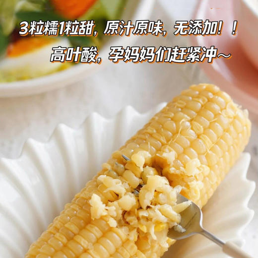高叶酸有机甜糯玉米🌽，口感细腻，软糯香甜有嚼劲！家庭必备粗粮，大人小孩都需要它 商品图1