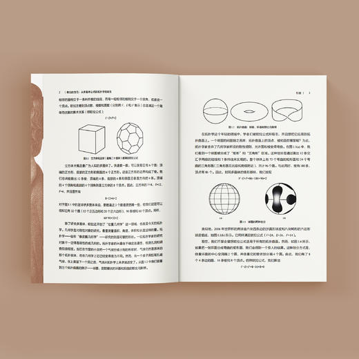 《欧拉的宝石：从多面体公式到拓扑学的诞生》 商品图8