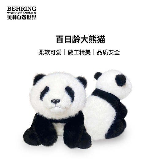 百日龄大熊猫 商品图0