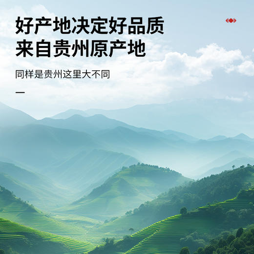 【99元任选3件】【正宗同仁堂品牌】北京同仁堂 青源堂 薏苡仁500g 自然清香 软糯香滑SY 商品图6