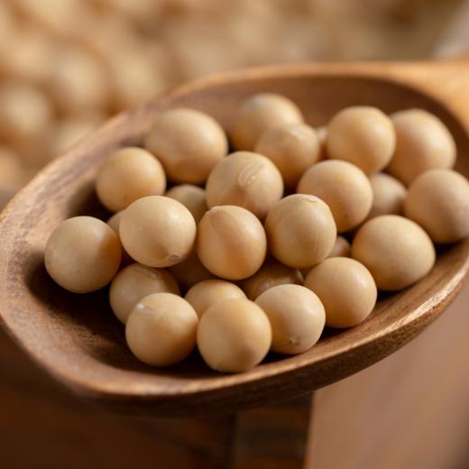 粮田拾趣黄豆 商品图2