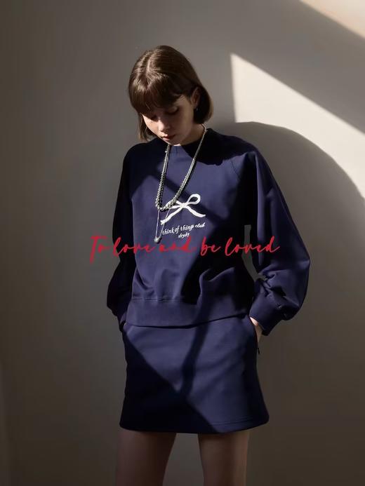 shyshystill/shy202402026/圆领套头刺绣三色卫衣 商品图4