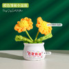 【教师节感谢栽培礼！向日葵小盆栽】教师节礼物向日葵花束小礼品送老师迷你永生花摆件创意桌面小盆栽，不止是摆件，更是艺术品。ry 商品缩略图11