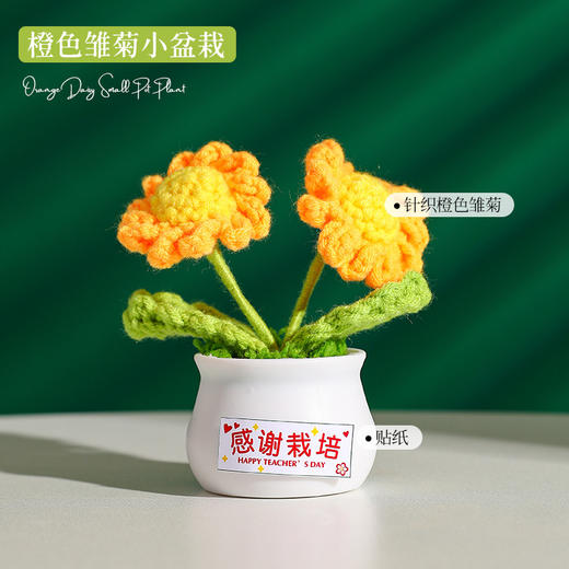 【教师节感谢栽培礼！向日葵小盆栽】教师节礼物向日葵花束小礼品送老师迷你永生花摆件创意桌面小盆栽，不止是摆件，更是艺术品。ry 商品图11