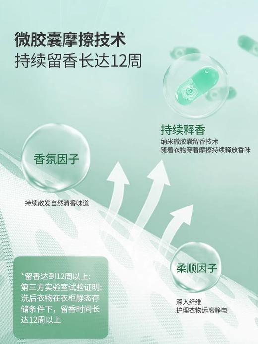 丽初净留香珠 商品图5