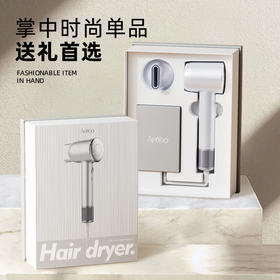 ApiYoo艾优电吹风机家用恒温负离子PF6