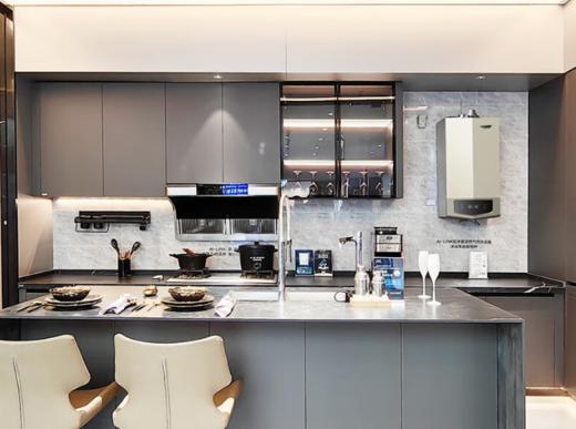 史密斯（12678）燃气壁挂炉L1PB20-A1 天然气家用采暖热水两用炉 恒温大水量地暖暖气锅炉 单机器 商品图0