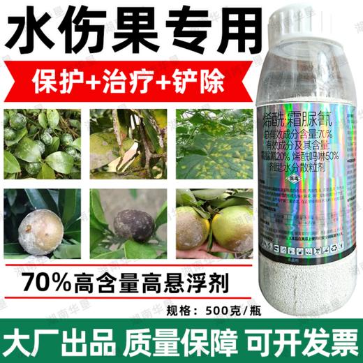 荣邦70%烯酰霜脲氰农用杀菌剂水伤黄瓜霜霉病专用杀菌剂正品批发 商品图2