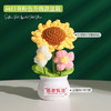 【教师节感谢栽培礼！向日葵小盆栽】教师节礼物向日葵花束小礼品送老师迷你永生花摆件创意桌面小盆栽，不止是摆件，更是艺术品。ry 商品缩略图8