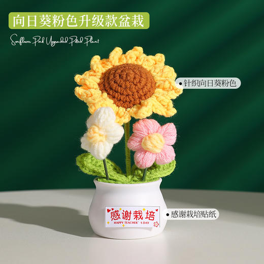 【教师节感谢栽培礼！向日葵小盆栽】教师节礼物向日葵花束小礼品送老师迷你永生花摆件创意桌面小盆栽，不止是摆件，更是艺术品。ry 商品图8