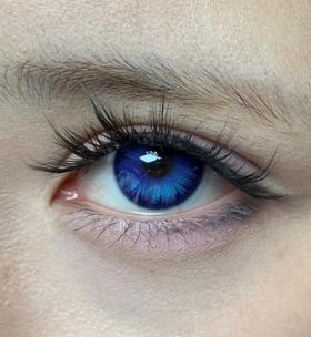 isoraLook半年抛美瞳 香凝蝶翅 14.5mm