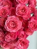 多头玫瑰花胭脂公主10支 商品缩略图6