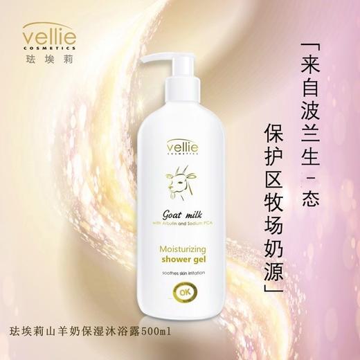 珐埃莉山羊奶保湿沐浴露持久留香清爽补水保湿家庭装波兰 商品图0