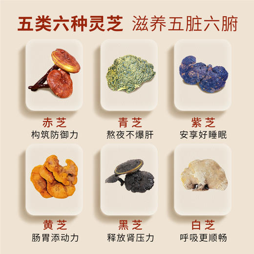 【】Vita Green 维特健灵 五色灵芝72粒【本商品不支持用券】 商品图4
