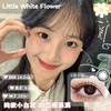 FAVORRBEAUTY 黑水珠 14.2mm 基弧8.6 含水量38% 商品缩略图0