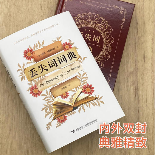 【13岁+】丢失词词典 [澳]皮普·威廉姆斯 著 闻若婷 译 商品图2