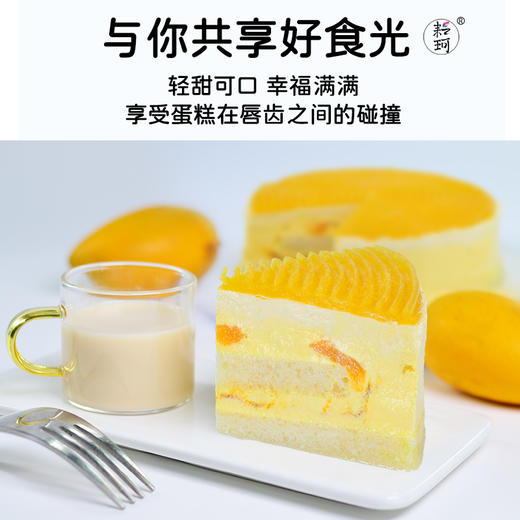 芒果沙棘蛋糕  580g（每周三，周五，周日现做发货，广东省内次日到达） 商品图5