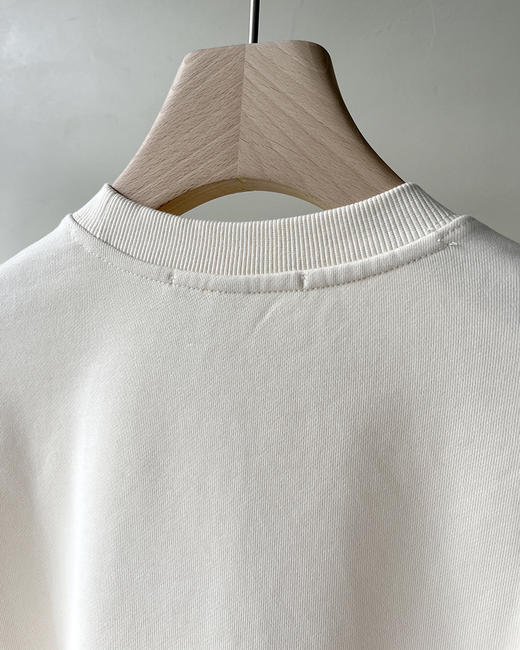 现货 THS 8.31-无 大王家 情侣款 mini字母logo印花圆领卫衣 2色 QI134 商品图11