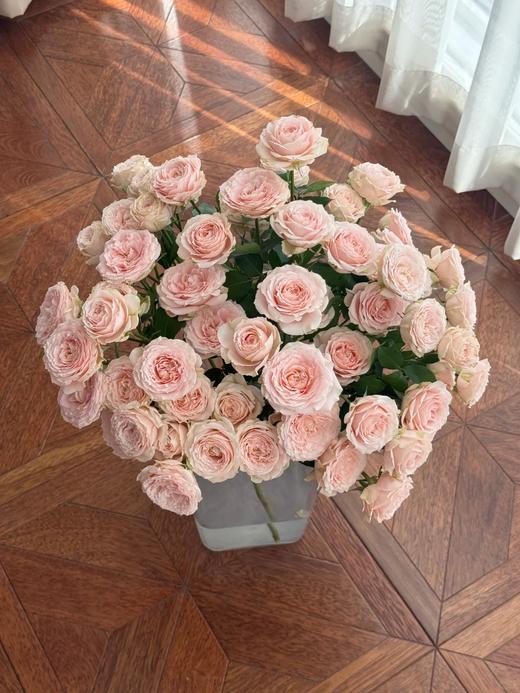 同城甄选精品稀有小众多头玫瑰珍妮贝尔10支 商品图2