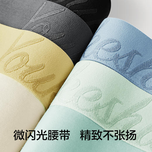 有棵树纯棉男士内裤桑蚕丝底裆3条装-AU1054 商品图3