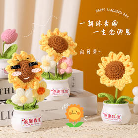 【教师节感谢栽培礼！向日葵小盆栽】教师节礼物向日葵花束小礼品送老师迷你永生花摆件创意桌面小盆栽，不止是摆件，更是艺术品。ry