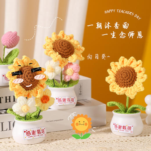 【教师节感谢栽培礼！向日葵小盆栽】教师节礼物向日葵花束小礼品送老师迷你永生花摆件创意桌面小盆栽，不止是摆件，更是艺术品。ry 商品图0
