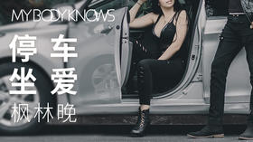 【1】车嗳问卷数据曝光