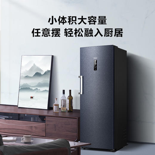 海尔（Haier） 226升 -40℃一级能效冷变频家用立式冰柜冷藏冷冻柜冷柜小冰柜家用小型冰箱BD-226WGHEC以旧换新 商品图5