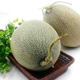 新疆哈密瓜    约1.5kg/个