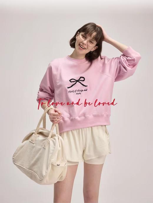 shyshystill/shy202402026/圆领套头刺绣三色卫衣 商品图3